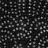 Wave Pattern - Black Wave Pattern - Black