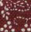 Botanical Pattern Red Botanical Pattern Red