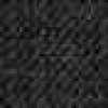 Gray Gray