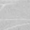 Light Gray Light Gray