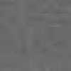 Gray Gray