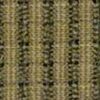 Khaki Khaki