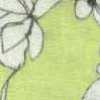 Yellow Yellow