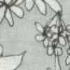Gray Gray