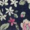 Navy Blue Navy Blue