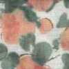 Salmon Salmon
