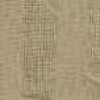 Beige Beige