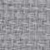 Gray Gray