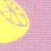 Lemon X Pink