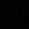 Black Black