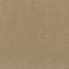Beige Beige