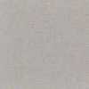 Light Gray Light Gray