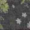 Gray Gray