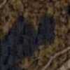 Navy Blue Navy Blue