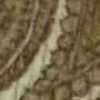 Beige Beige