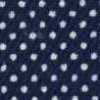 Polka Dot Polka Dot