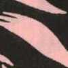 Charcoal/Pink Charcoal/Pink