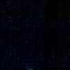Navy Blue Navy Blue