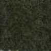 Dark Moss Green Dark Moss Green