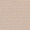 Light Beige Light Beige