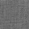 Gray Gray
