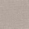 Light Gray Light Gray