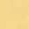 Jasmine Yellow Jasmine Yellow