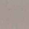 Light Gray Light Gray
