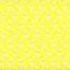 Lemon Lemon