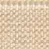 Beige Beige