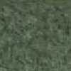Moss Green