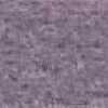 Gull Gray