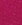 Fuchsia Fuchsia