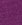 Dark Purple Dark Purple