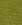 Matcha Brown Matcha Brown