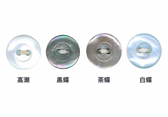 16 16-size 2-hole Shell Button
