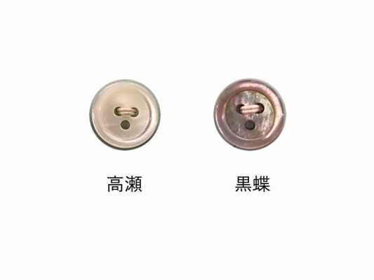 1703 17L 3-hole Shell Button