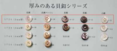 1720 4-hole Rimmed Shell Button, 2mm Thick