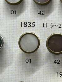 1835 Elegant And Luxurious Buttons For Simple Shirts And Jackets DAIYA BUTTON(DAIYA BUTTON) Sub Photo