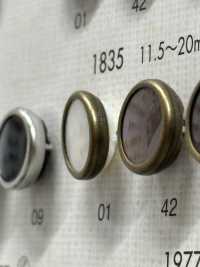 1835 Elegant And Luxurious Buttons For Simple Shirts And Jackets DAIYA BUTTON(DAIYA BUTTON) Sub Photo