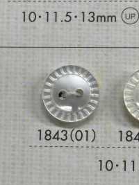 1843 Polyester Resin Bordered Two-hole Button Sub Photo