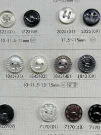 1843 Polyester Resin Bordered Two-hole Button Sub Photo