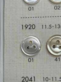 1920 DAIYA BUTTONS 3 Shell Polyester Button DAIYA BUTTON(DAIYA BUTTON) Sub Photo