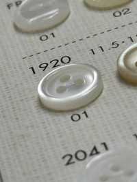 1920 DAIYA BUTTONS 3 Shell Polyester Button DAIYA BUTTON(DAIYA BUTTON) Sub Photo