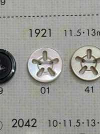 1921 DAIYA BUTTONS 5 Shell Polyester Button DAIYA BUTTON(DAIYA BUTTON) Sub Photo