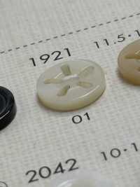 1921 DAIYA BUTTONS 5 Shell Polyester Button DAIYA BUTTON(DAIYA BUTTON) Sub Photo