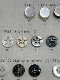 1921 DAIYA BUTTONS 5 Shell Polyester Button DAIYA BUTTON(DAIYA BUTTON) Sub Photo