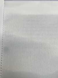 2001 Polyester Plain Weave Lining Penter Five Special TORAY Sub Photo