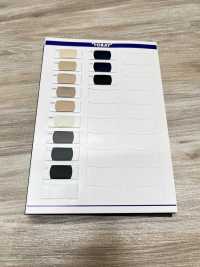 2022 TORAY Lining Siljenne TORAY Sub Photo