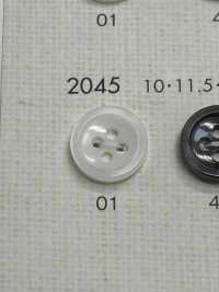 2045 DAIYA BUTTONS Shell-like Polyester Button DAIYA BUTTON Sub Photo